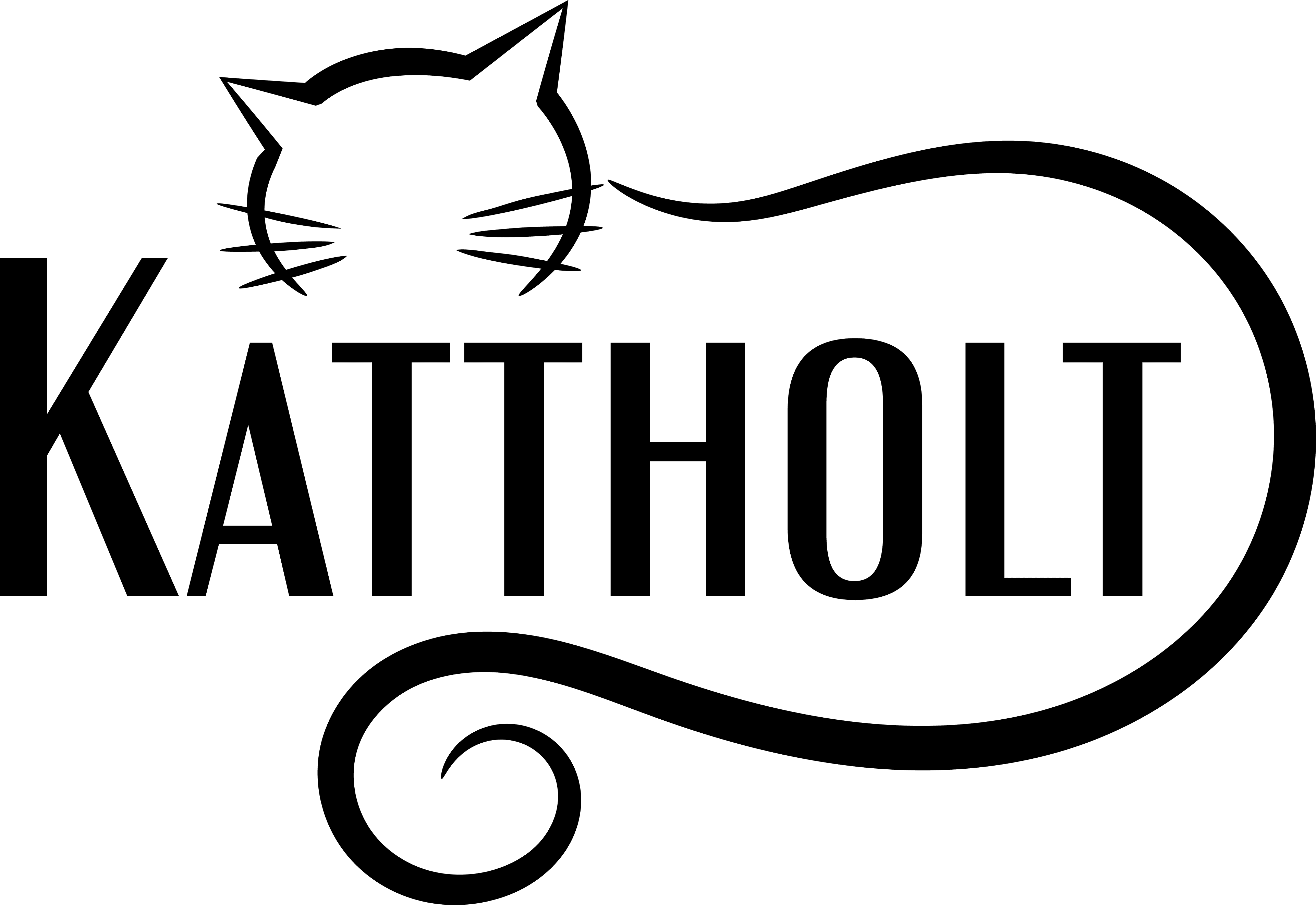 Kattholt - cat shelter